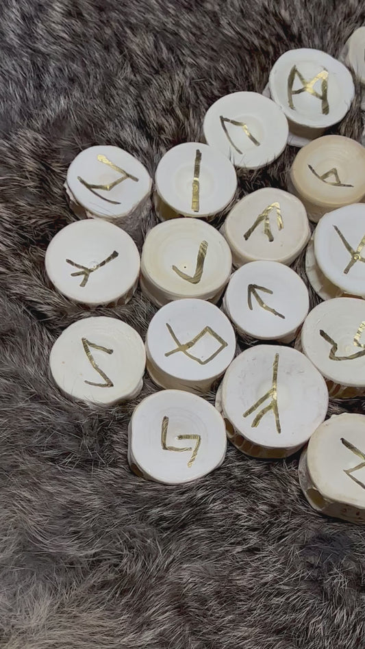 Shark Vertebrae Bone Runes